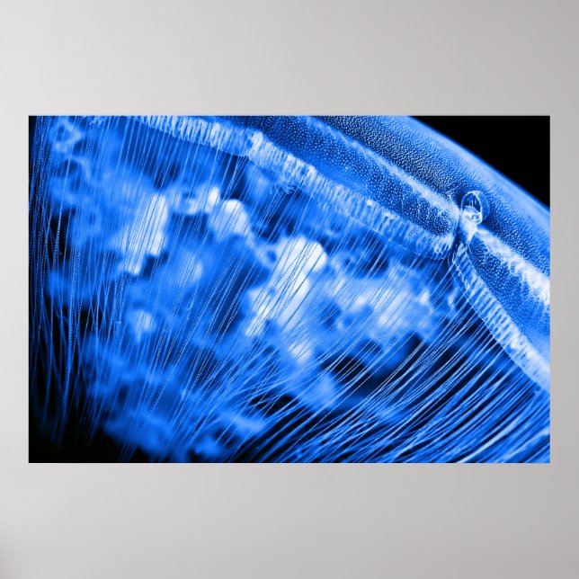 Póster Blue Moon Rising (Frente)