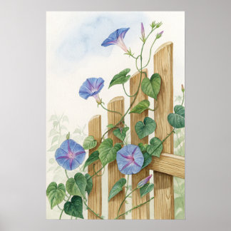 Póster Blue Morning Glory Fence Print | Garden Botanical