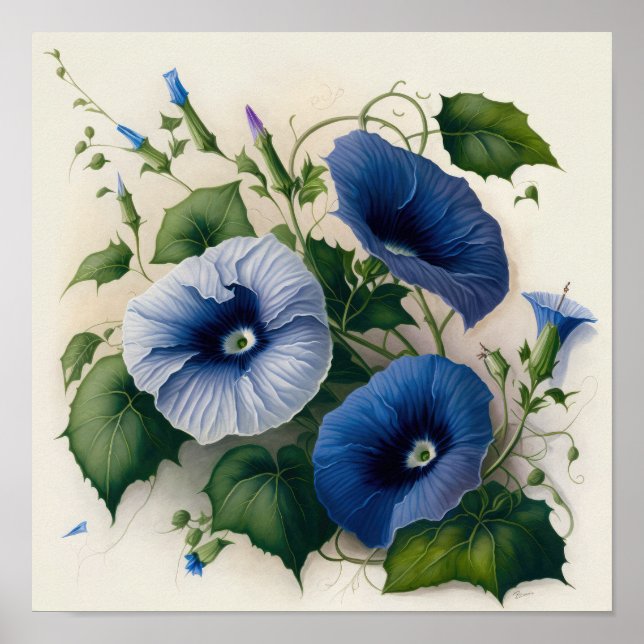 Póster Blue Morning Glory Flowers Art Print Poster (Frente)