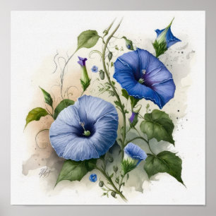 Póster Blue Morning Glory Flowers Art Print Poster