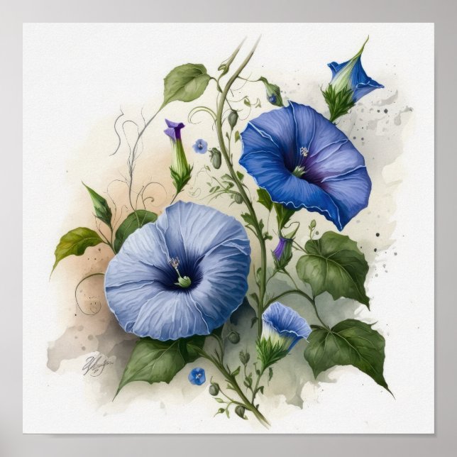 Póster Blue Morning Glory Flowers Art Print Poster (Frente)