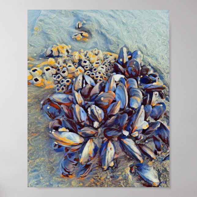 Póster Blue Mussel 8 x 10 Imprimir lienzo (Frente)