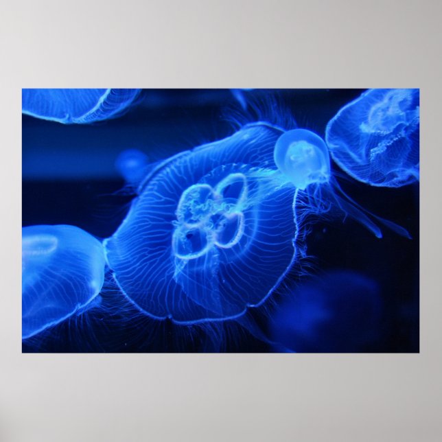 Póster Blue Neon Jellyfish (Frente)