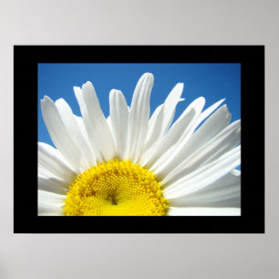 Póster Blue Sky Floral art prints White Daisy Flower