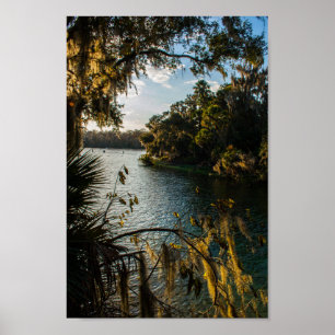 Póster Blue Springs State Park, Florida