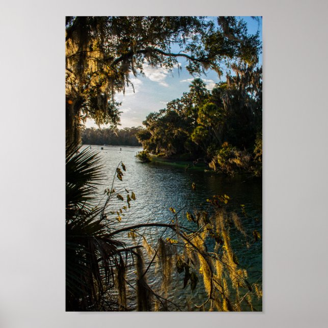 Póster Blue Springs State Park, Florida (Frente)