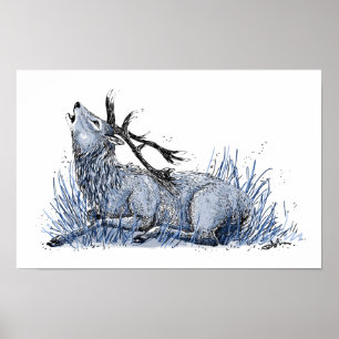 Póster Blue Stag