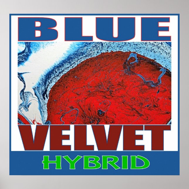 PÓSTER BLUE VELVET HYBRID (Frente)