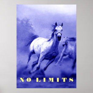 Póster Blue Wild Horses Motivational No Limiting