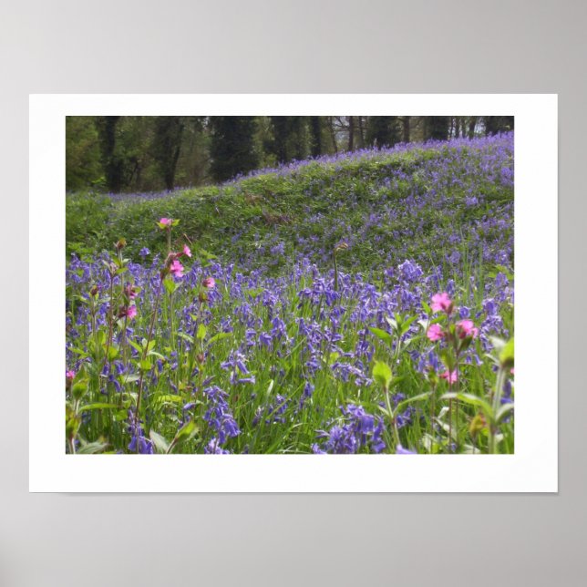 Póster Bluebell Wood Print (Frente)