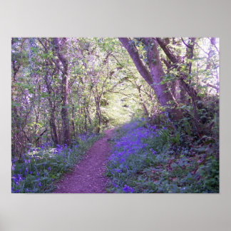 Póster Bluebell Woods Print