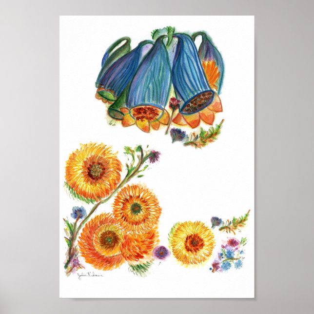 Póster Bluebells (Frente)