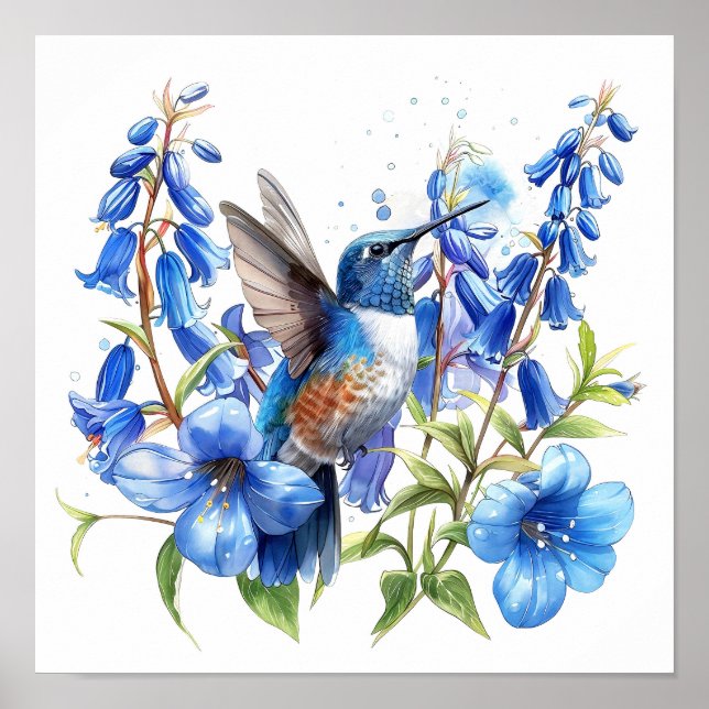 Póster Bluebells Hummingbird (Frente)