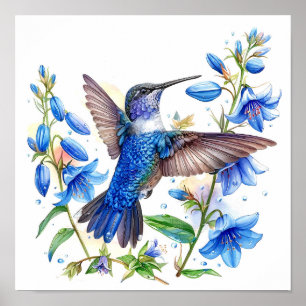Póster Bluebells Hummingbird