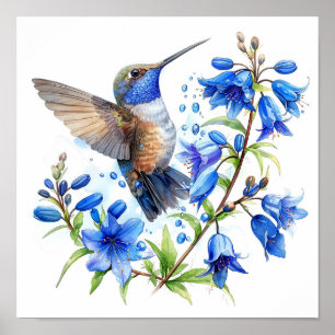 Póster Bluebells Hummingbird