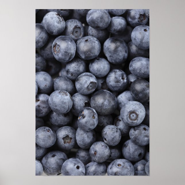 Póster Blueberries (Frente)