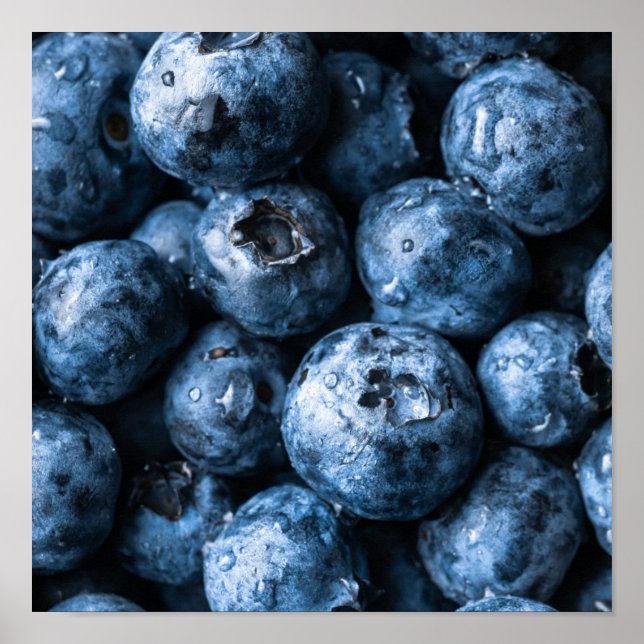 Póster Blueberries Fruit (Frente)