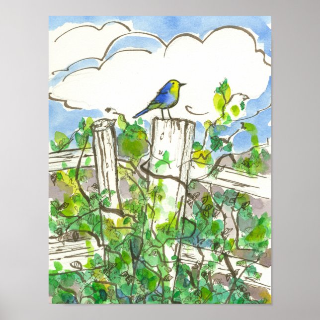 Póster Bluebird Brambles Blue Sky (Frente)