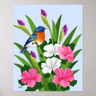 Póster Bluebird del este