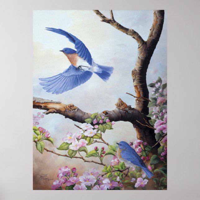 Póster "Bluebirds" UV Canvas Printes (Frente)