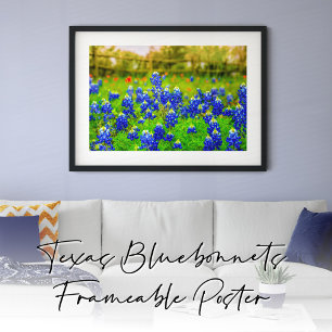 Póster Bluebonnets de Texas Rustic Blue Wildflowers