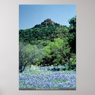 Póster Bluebonnets, Llano, Texas, EE.UU.