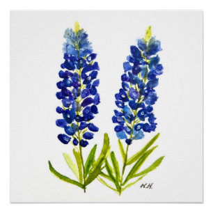 Póster Bluebonnets Texas State Flowe Lupine Watercolor