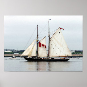 Póster Bluenose
