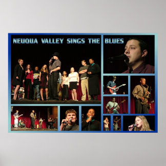 Póster Blues NVHS