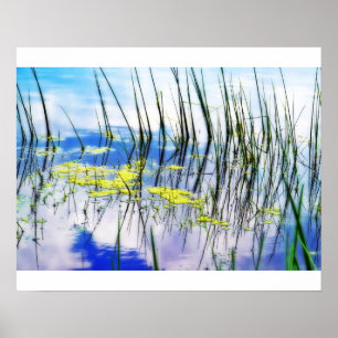 Póster Blues y hierbas