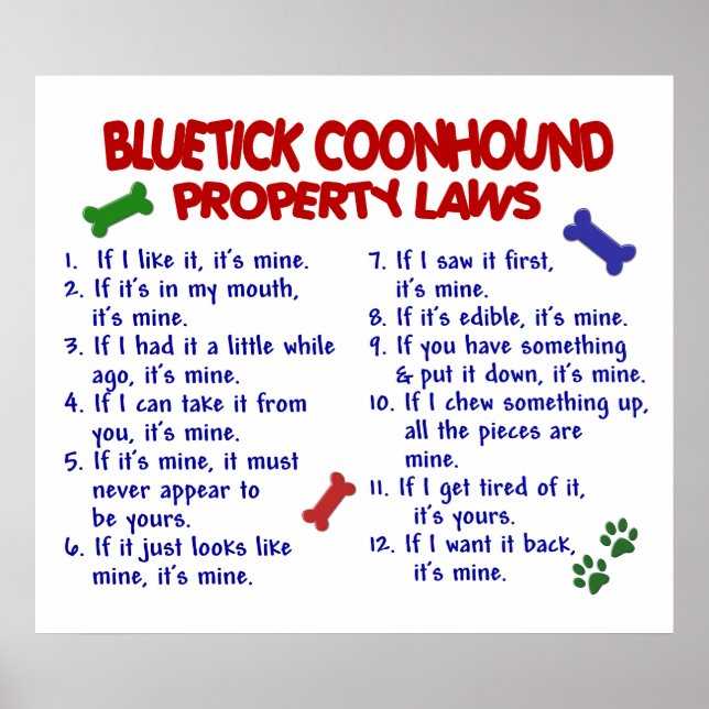 PÓSTER BLUETICK COONHOUND PL2 (Frente)