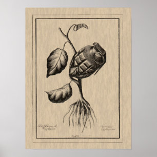 Póster Blum de Explosive