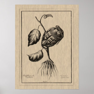 Póster Blum de Explosive