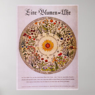Póster Blumenuhr Flower Clock Poster2