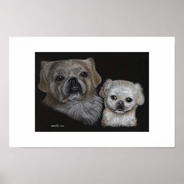 Póster Bo y Sissy (Frente)