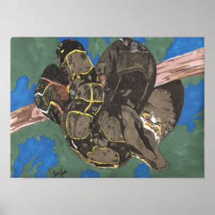 Póster Boa Constrictor