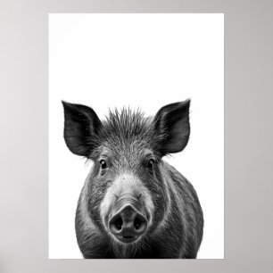 Póster Boar Pig Woodland Retrato moderno blanco negro