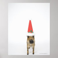 Boar salvaje con gorra de Navidades
