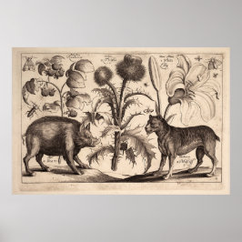 Póster Boar y Mastiff