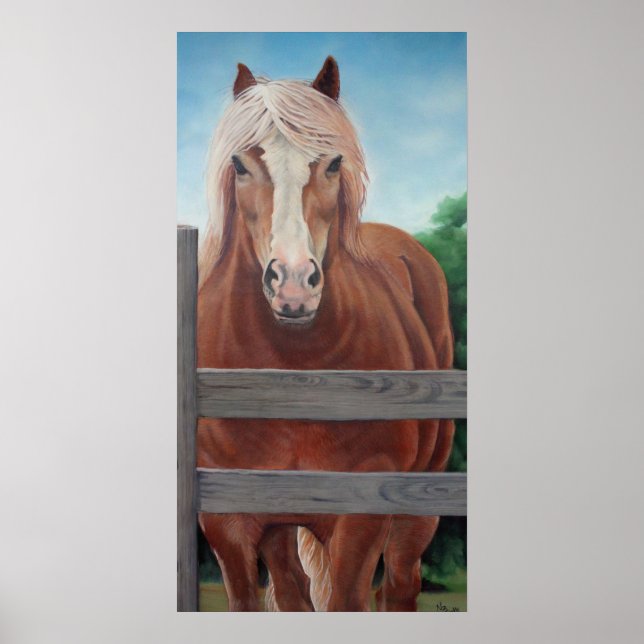 Póster Bob (Frente)