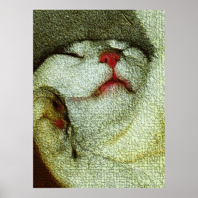 Póster Bob being Bob (Frente)