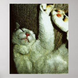 Póster Bob Disfrutando de una Siesta