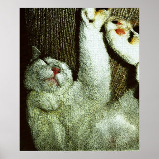 Póster Bob Disfrutando de una Siesta