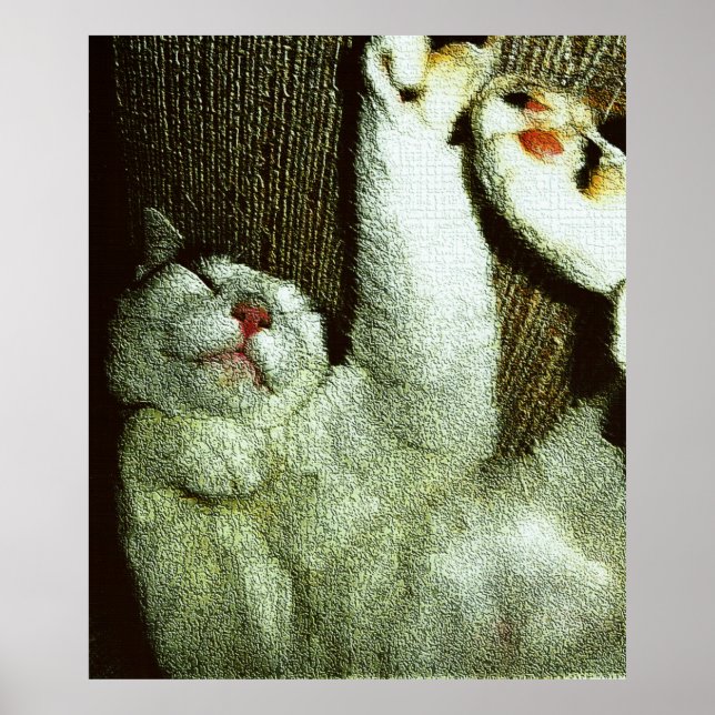 Póster Bob Disfrutando de una Siesta (Frente)