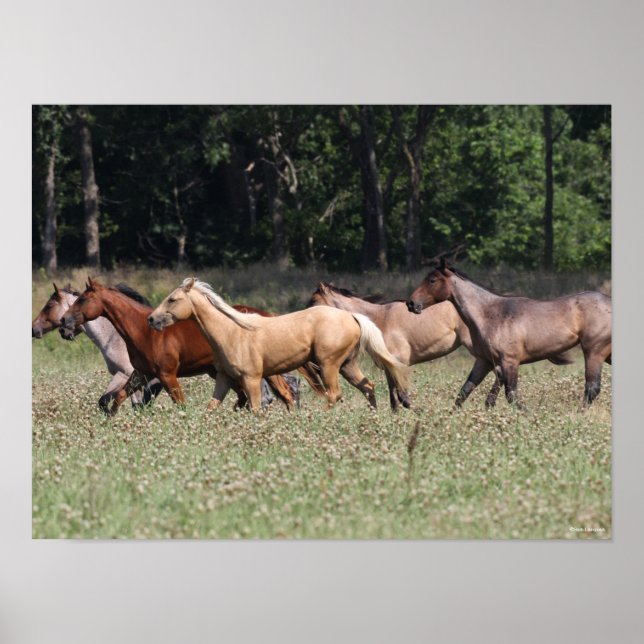 Póster Bob Langrish | Caballos de barrio de manada (Frente)