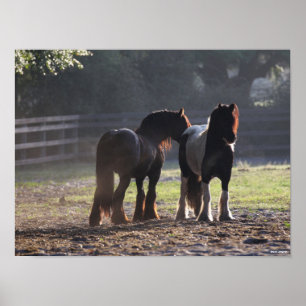 Póster Bob Langrish   Dos Vanners Gitanos Con Luz De Pie 