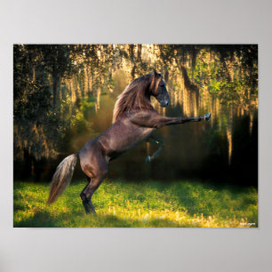 Póster Bob Langrish   La cría de caballos de Montaña Roco