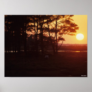 Póster Bob Langrish   La puesta de sol de Chincoteague Gr