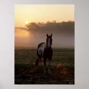 Póster Bob Langrish   Paint Horse Standing Mist Sunrise