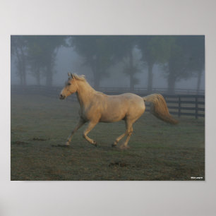 Póster Bob Langrish Palomino Tennessee Walker en niebla